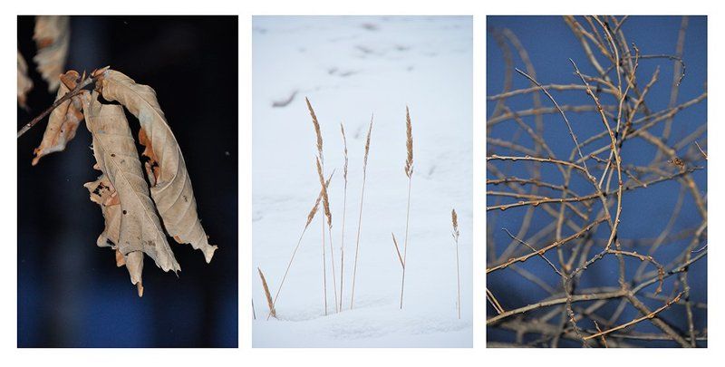 Месяц Март фото превью