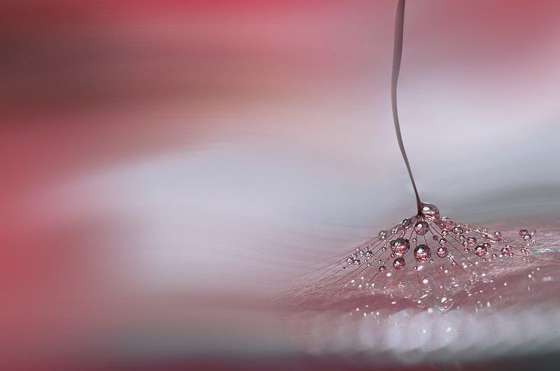 *.*.*.*.* фото превью