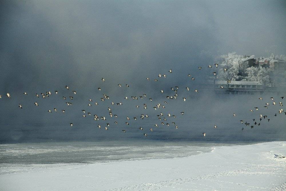 , Николай Морский