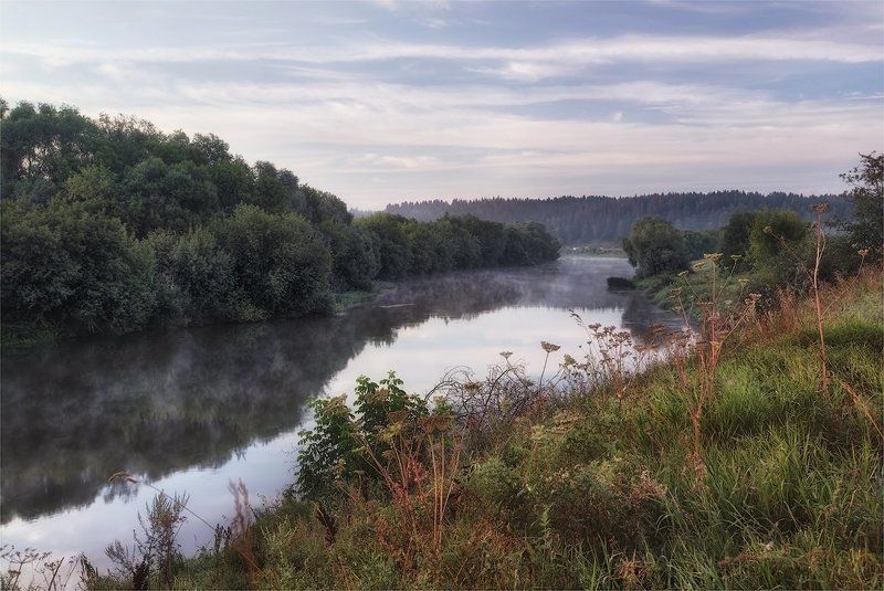 река, утро, лето про лето фото превью
