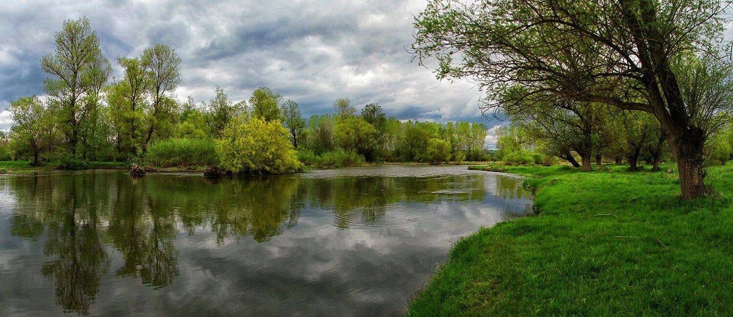 , Ирина Костова