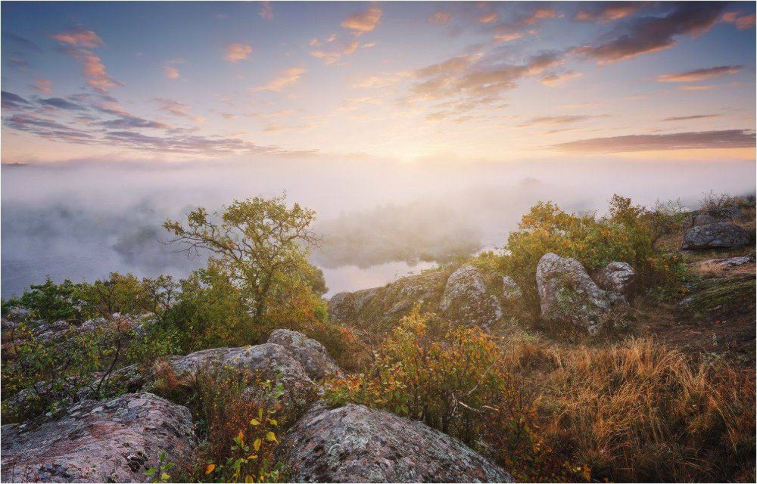 , Денис Кривой