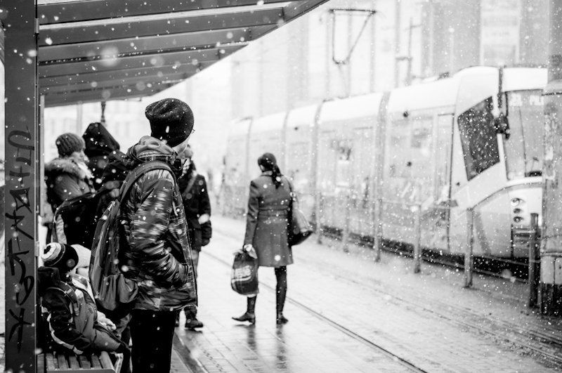 The first day of spring фото превью