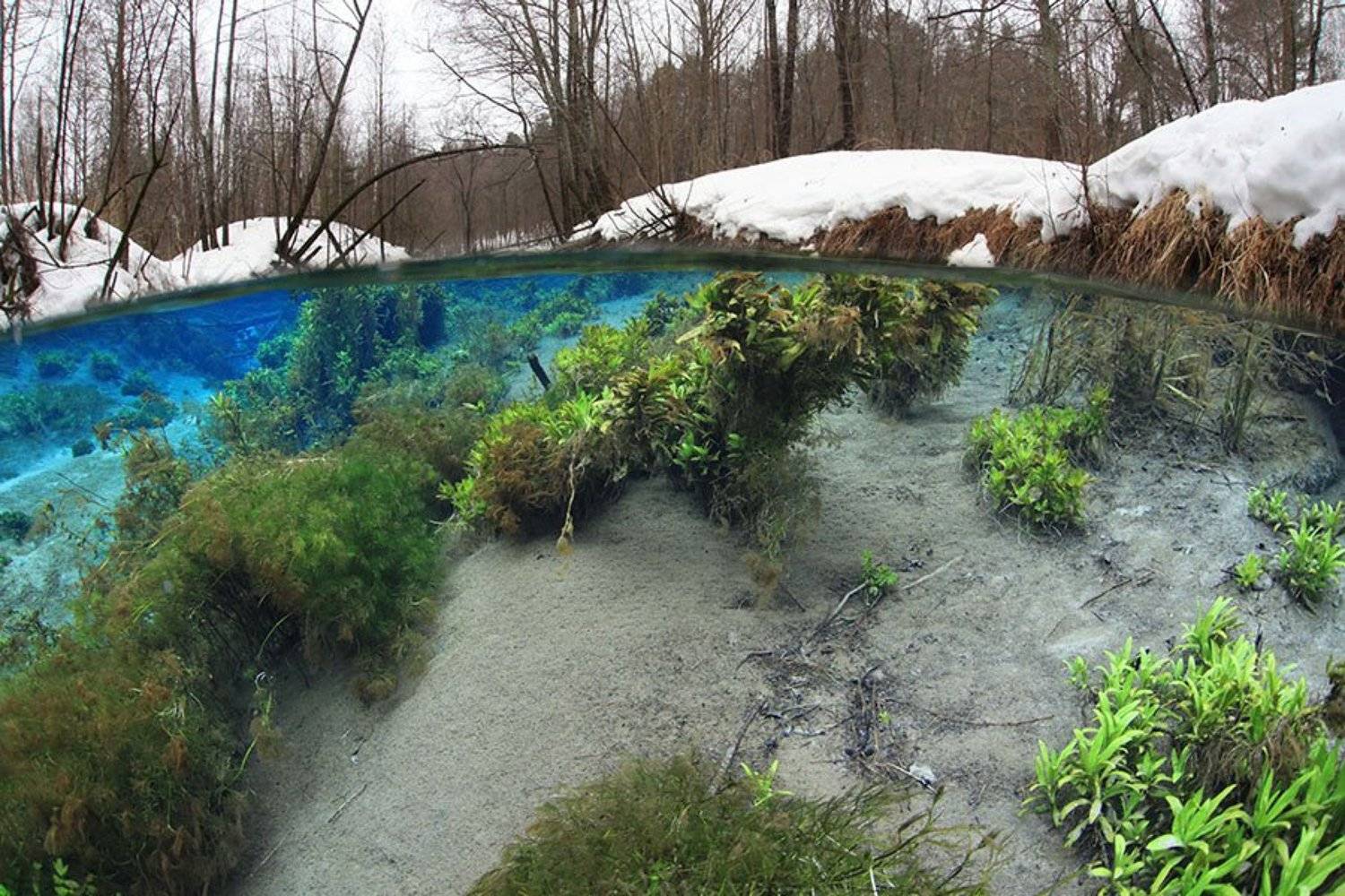 , Эдуард VTORNIK  Николаев