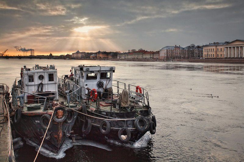 Речные труженики фото превью