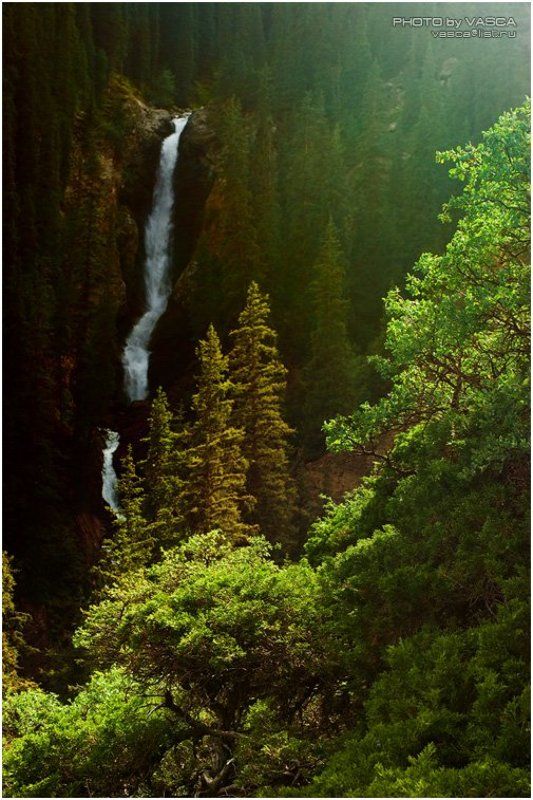 Зимой и Летом фото превью