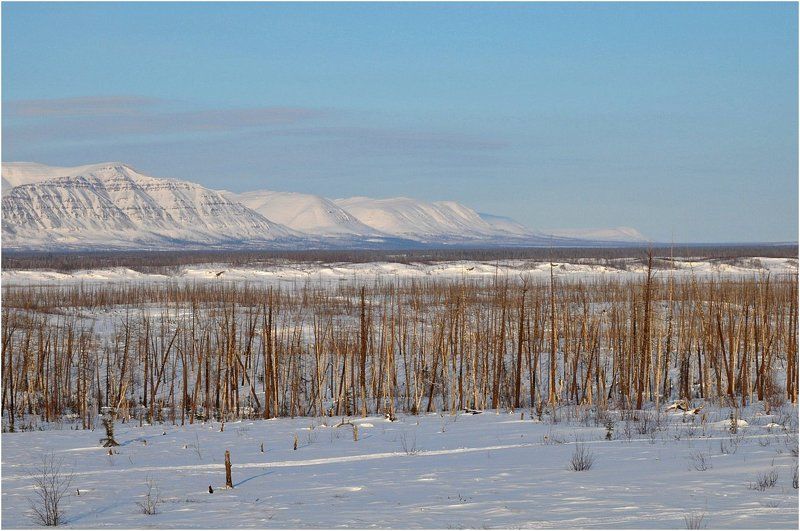 Солнечный денек фото превью