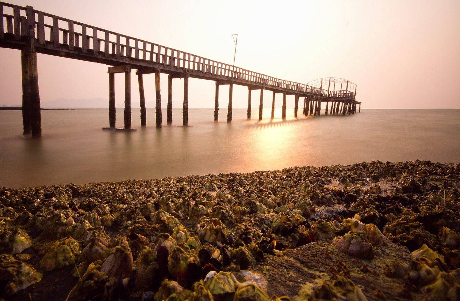 ракушки, таиланд, закат, море, живность, мост, Svetlana Golicyna