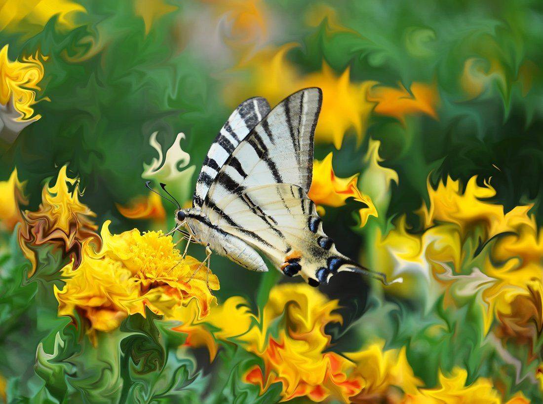 , Игорь Олейник