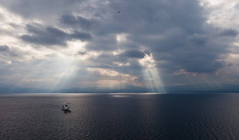 , Людмила Прокофьева