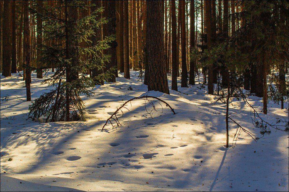 , Бурлов Андрей