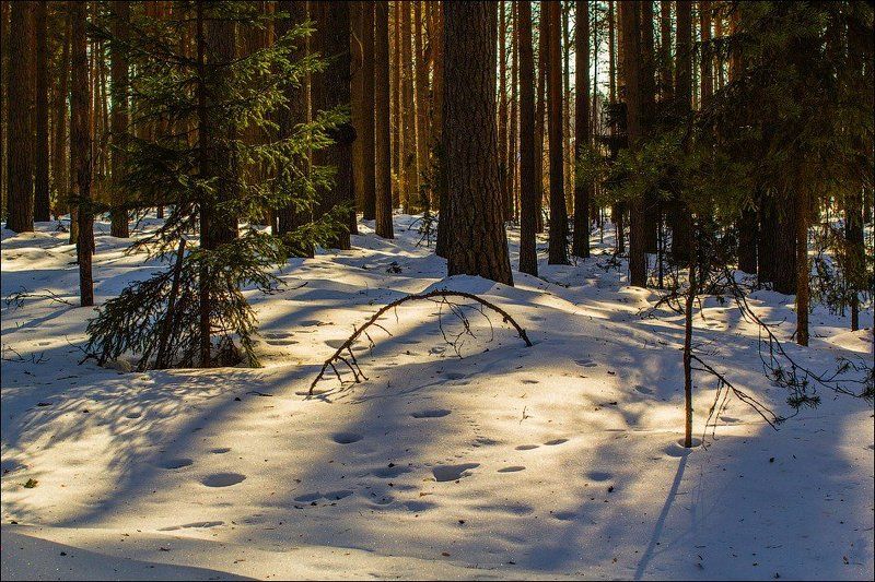 ... фото превью