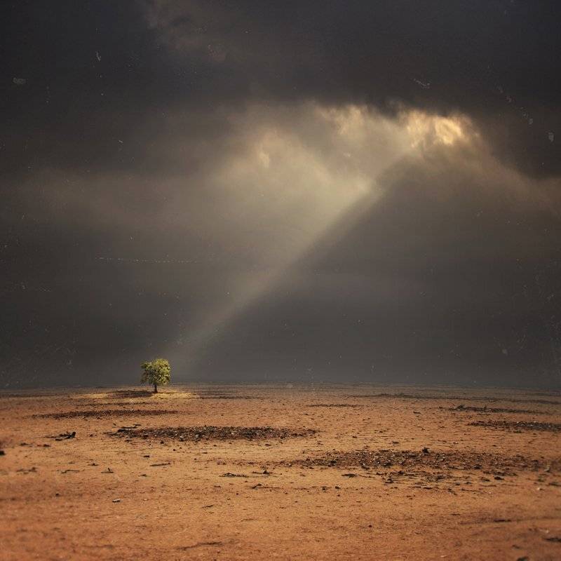 , Hossein Zare