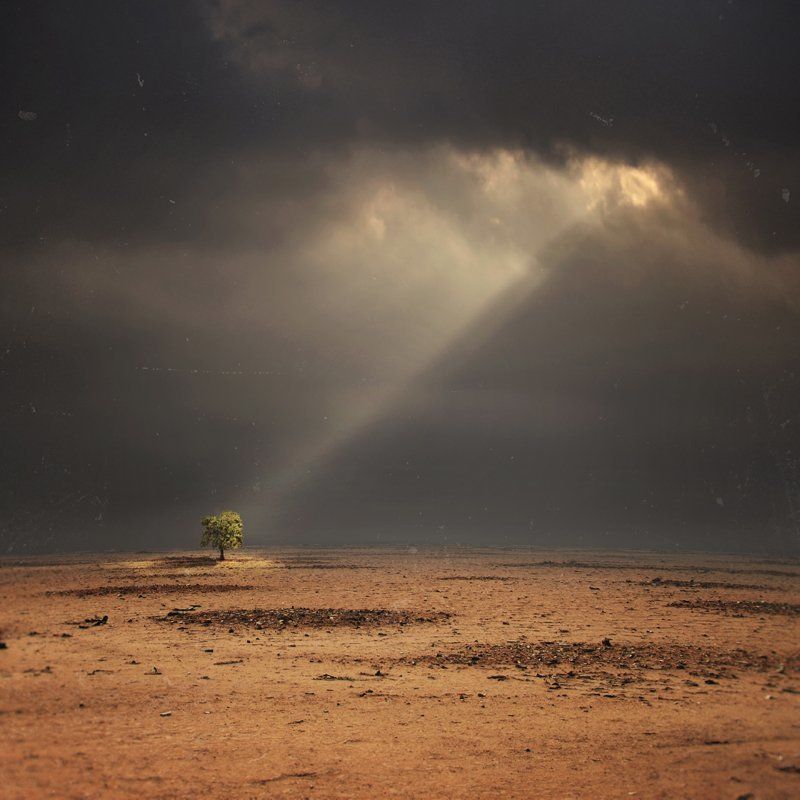 Hope фото превью