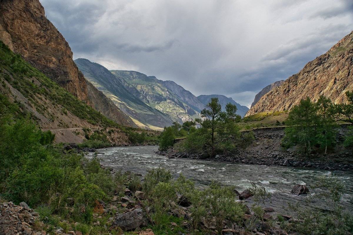 , Николай Ляпин