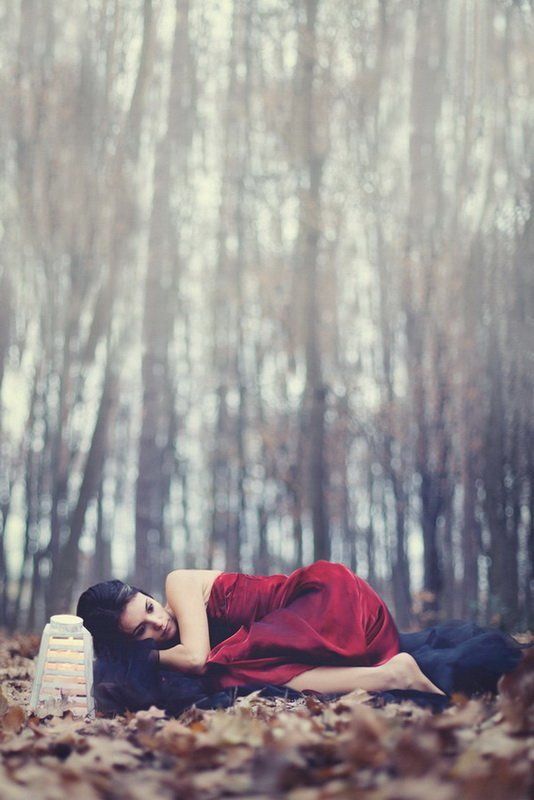 In the woods фото превью