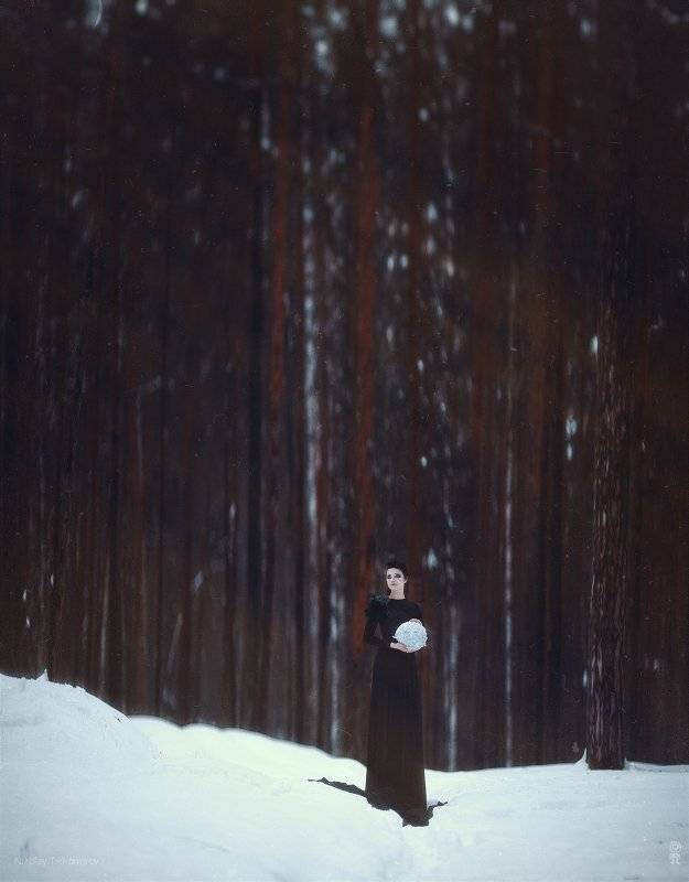 , Тихомиров Николай