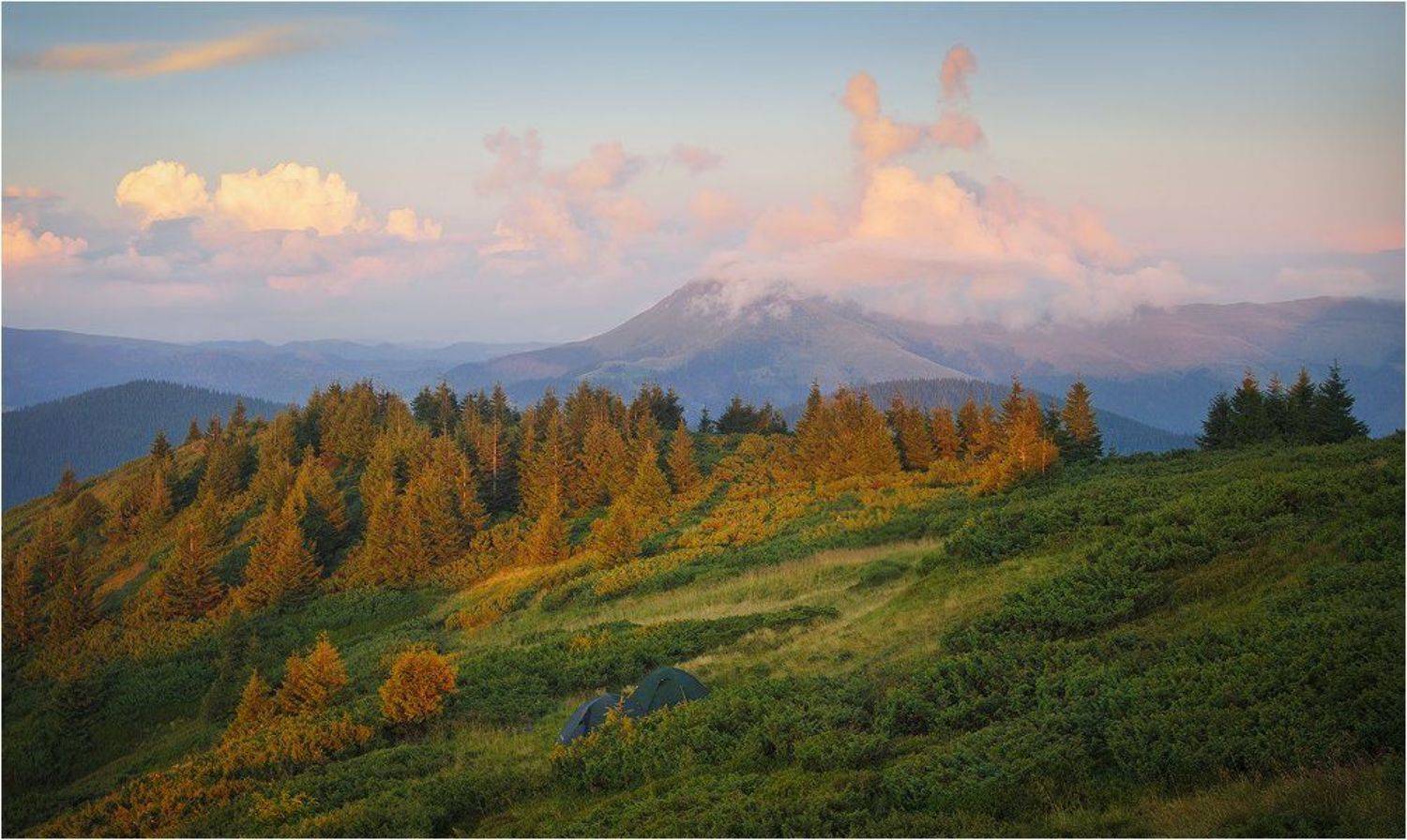 , Денис Кривой