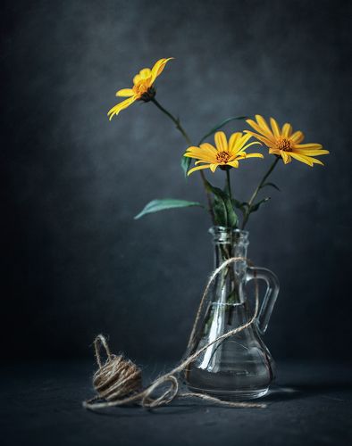 Топинамбур 