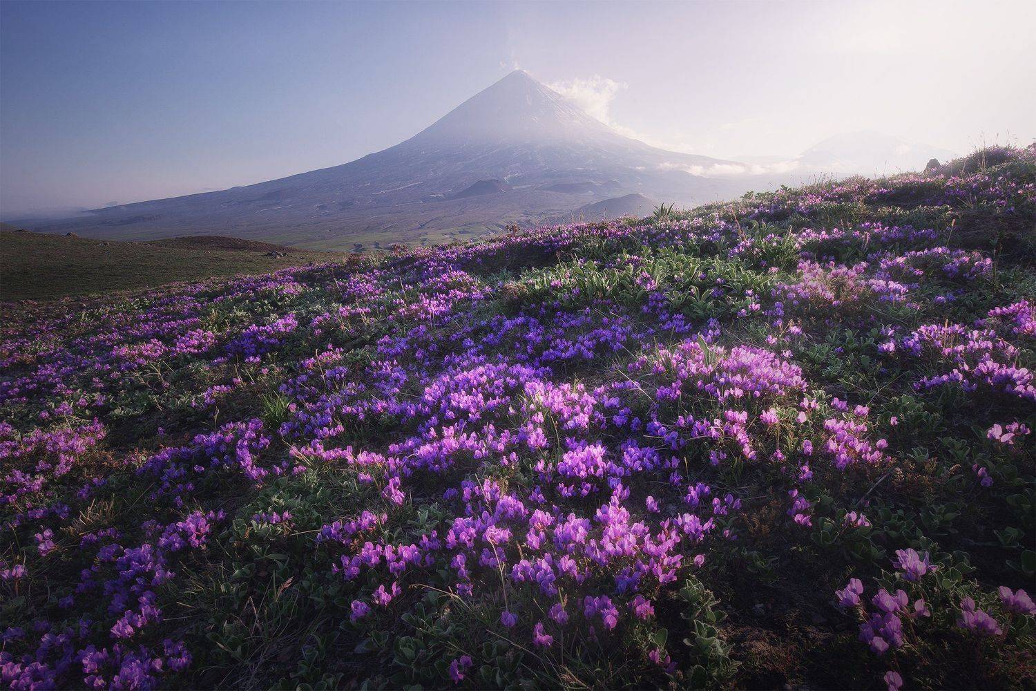 , Анна Политова
