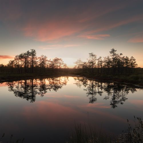 Reflection collection