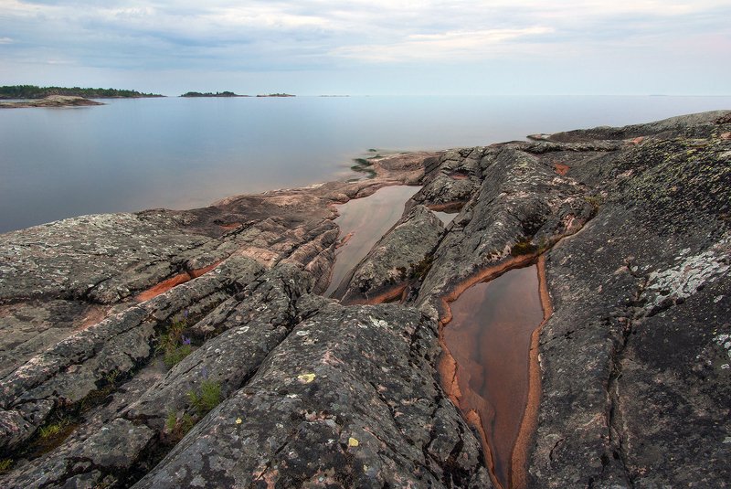 карелия По следам дельфинов... фото превью