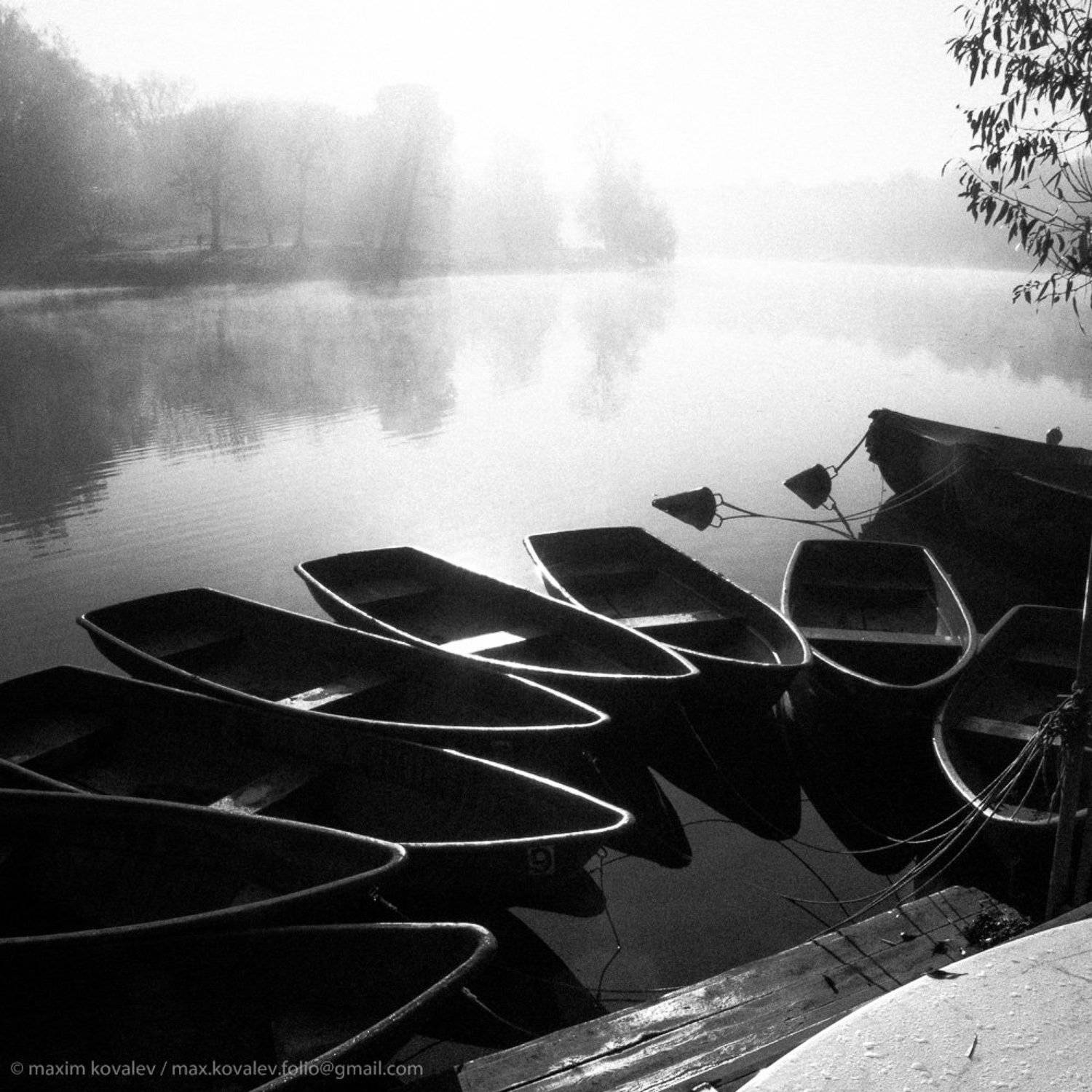 europe, kuzminki, moscow, russia, autumn, bank, boat, bw, craft, fog, gauze, haze, landscape, monochrome, morning, nature, park, plant, pond, ray, reflection, ship, silhouette, sunny, transport, tree, water, европа, кузьминки, москва, россия, берег, пруда, Максим Ковалёв