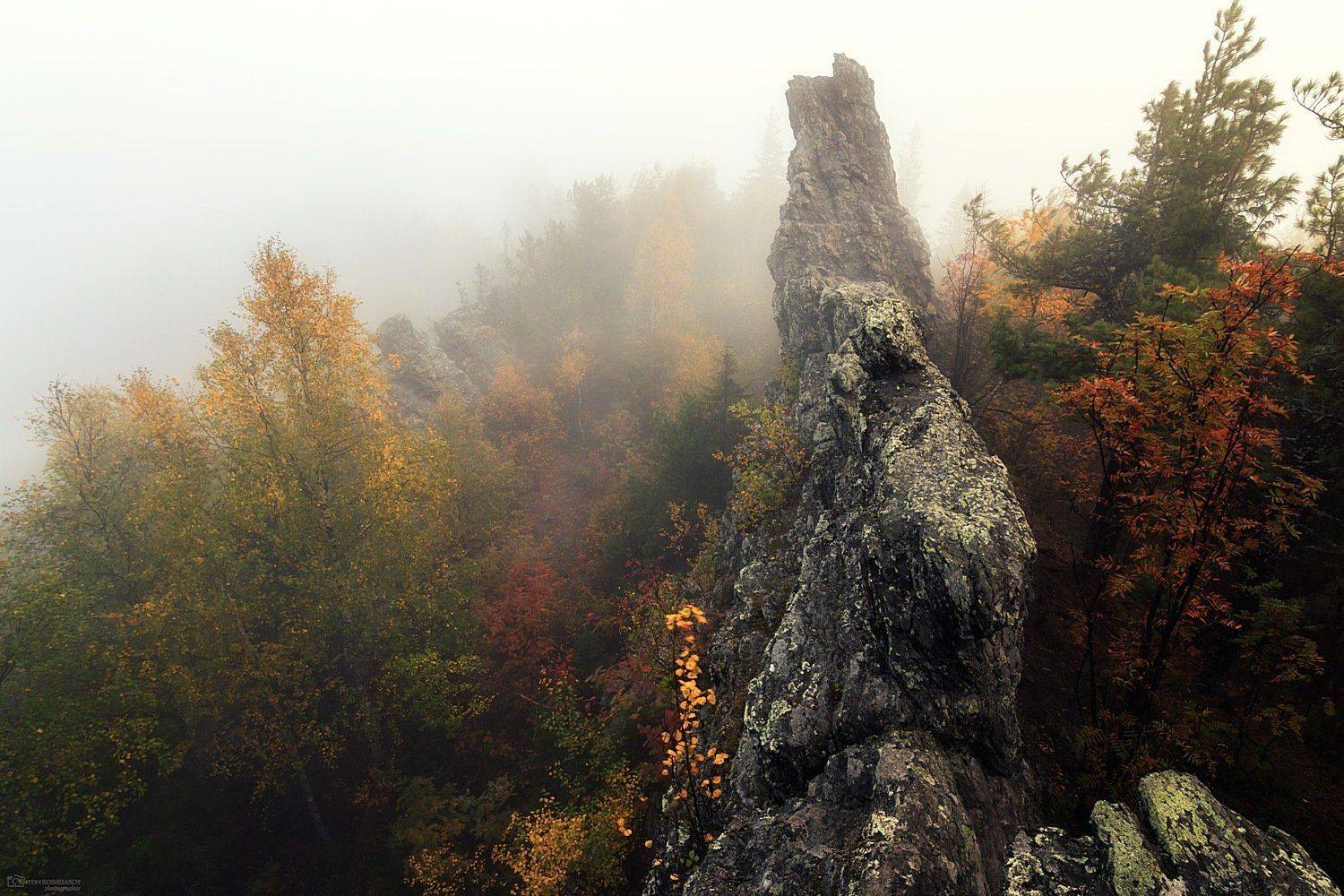 , Антон Кошетаров