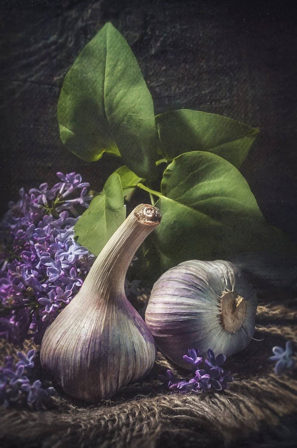 сирень,чеснок,листья,живопись,холст, Владимир Володин