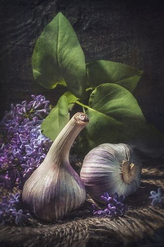 С оттенком Сирени !