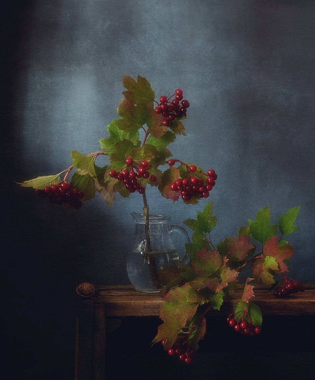 натюрморт,калина,ягоды,осень, Наталия К