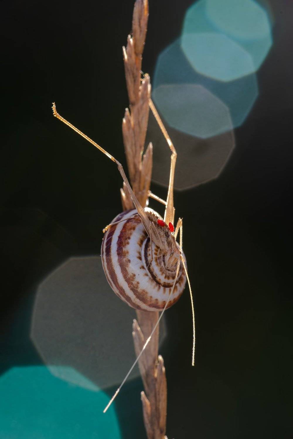 , Игорь ФУММ