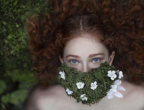 Soul of forest 2020