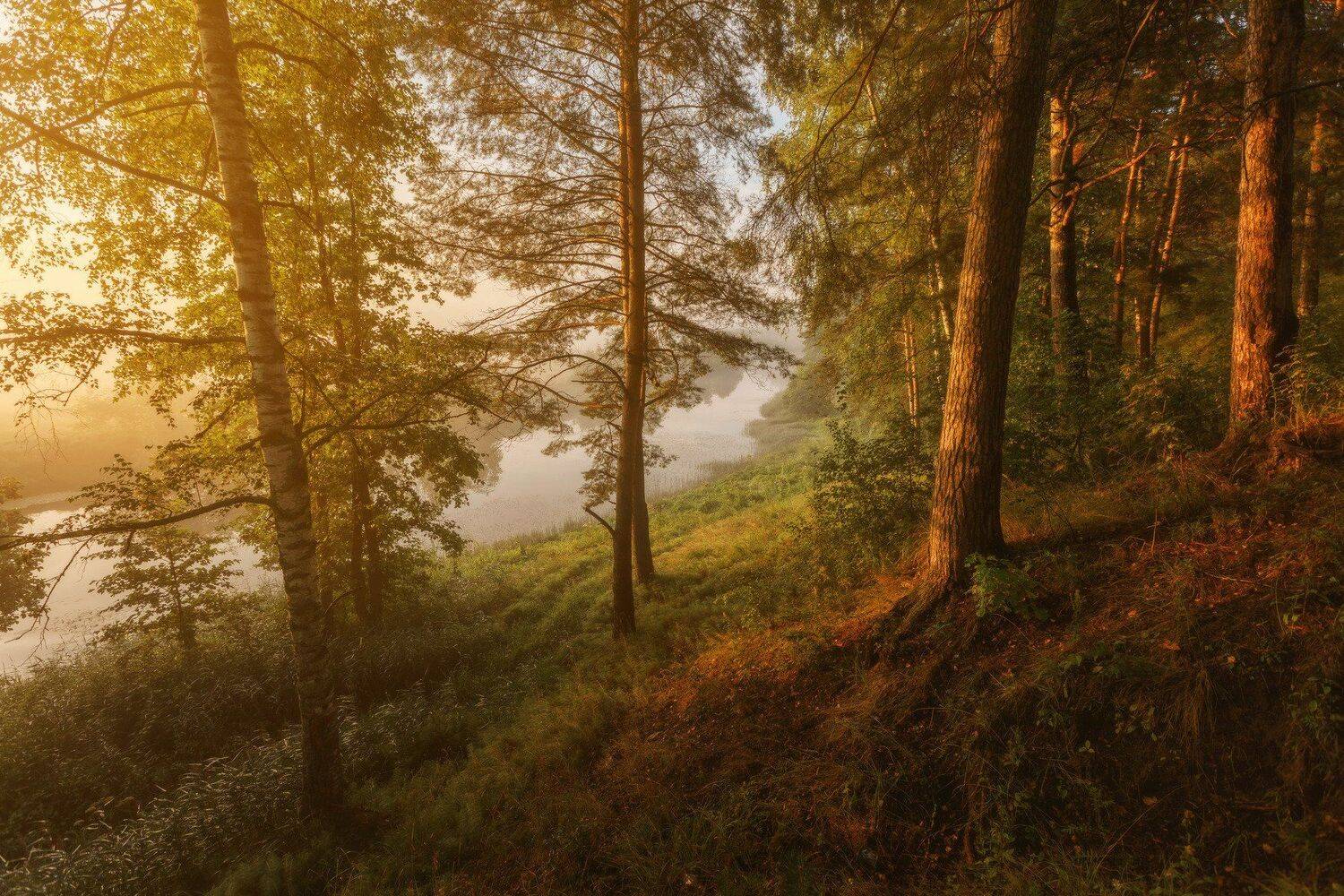 озеро, горы, лес, природа, закат, рассвет, красота, приключения, путешествие, облака, урал, Шевченко Николай