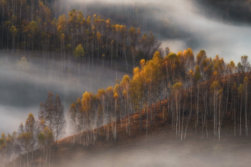 Осень в Румынии фото превью