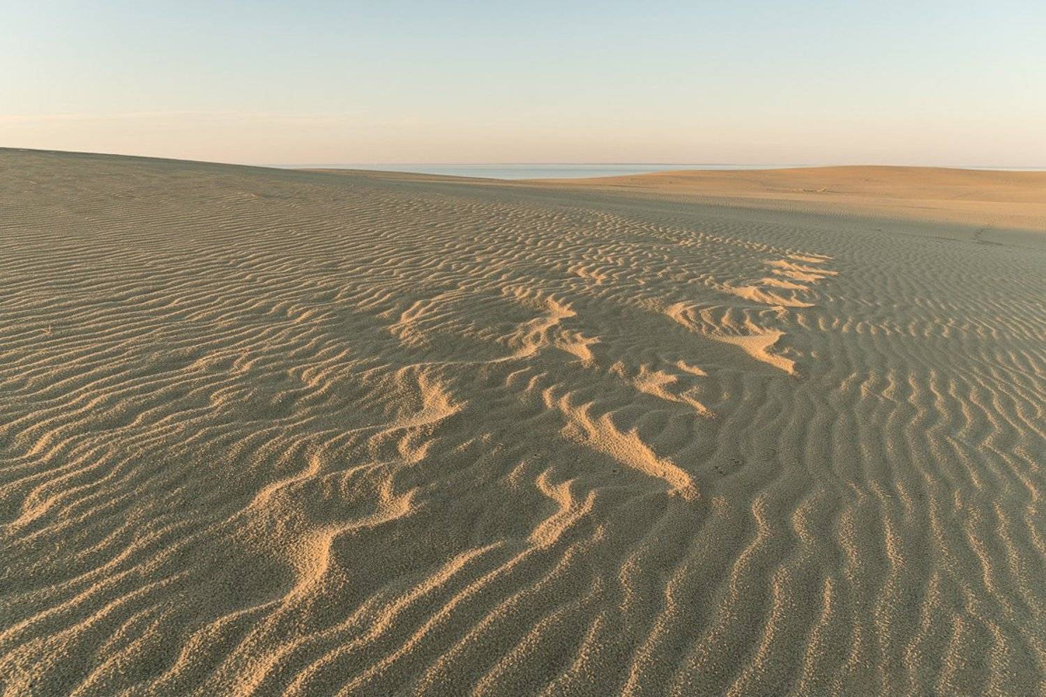 , Татьяна Рутковская