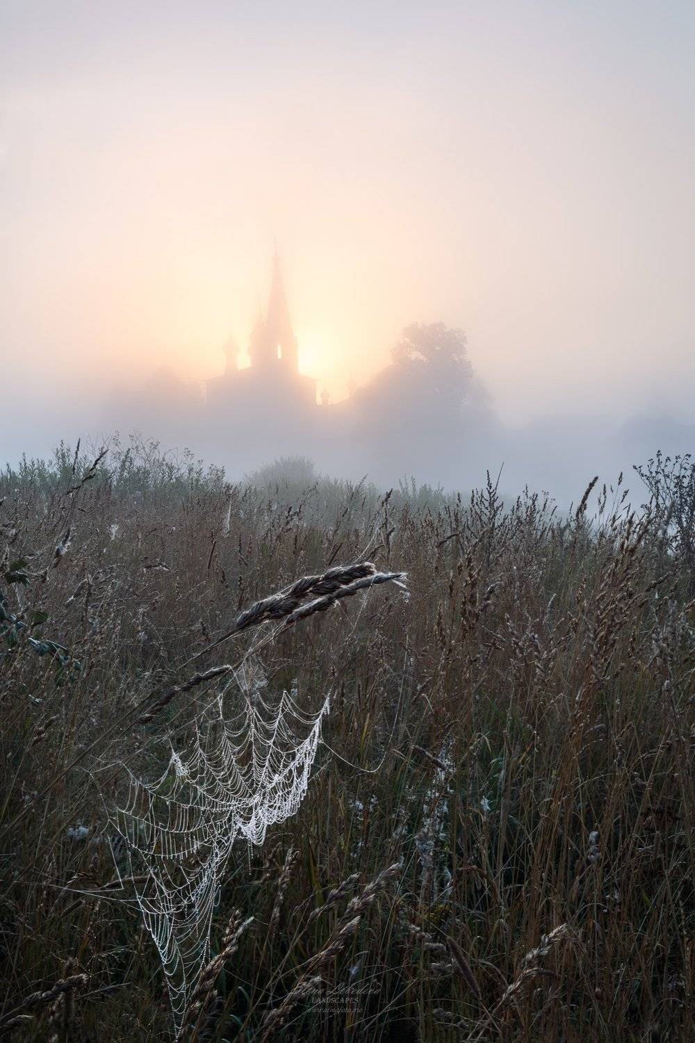 дунилово, россия, утро, восход, туман, пейзаж, природа, Елена Лебедева