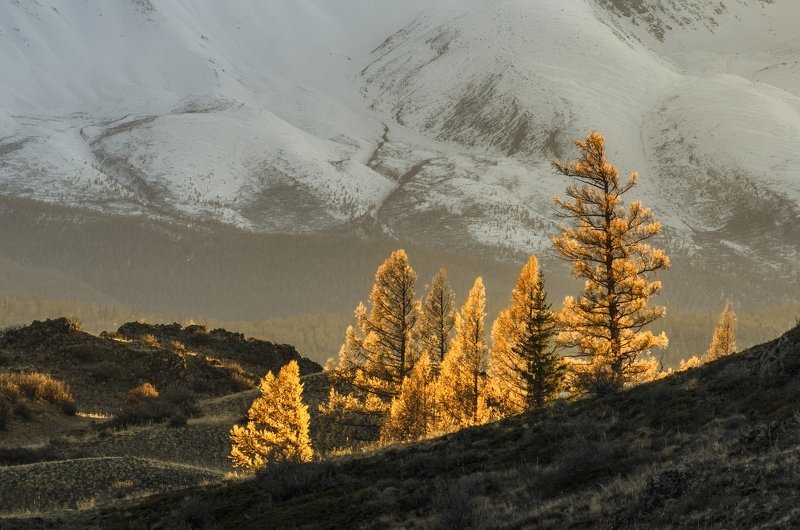 Зажглись вечерние свечи фото превью
