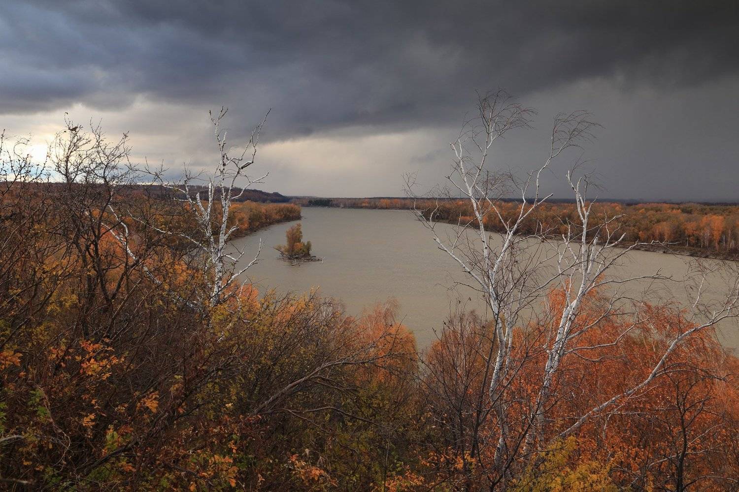 , Евгений Зинов