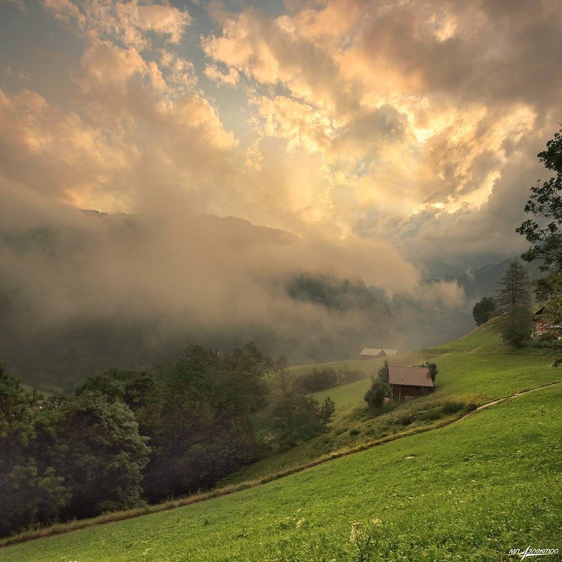 swiss, Матвеев Николай