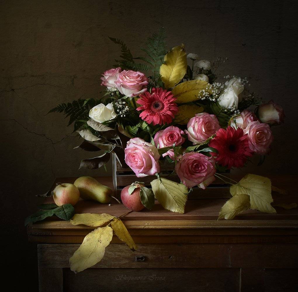 , Шипунова Ирина