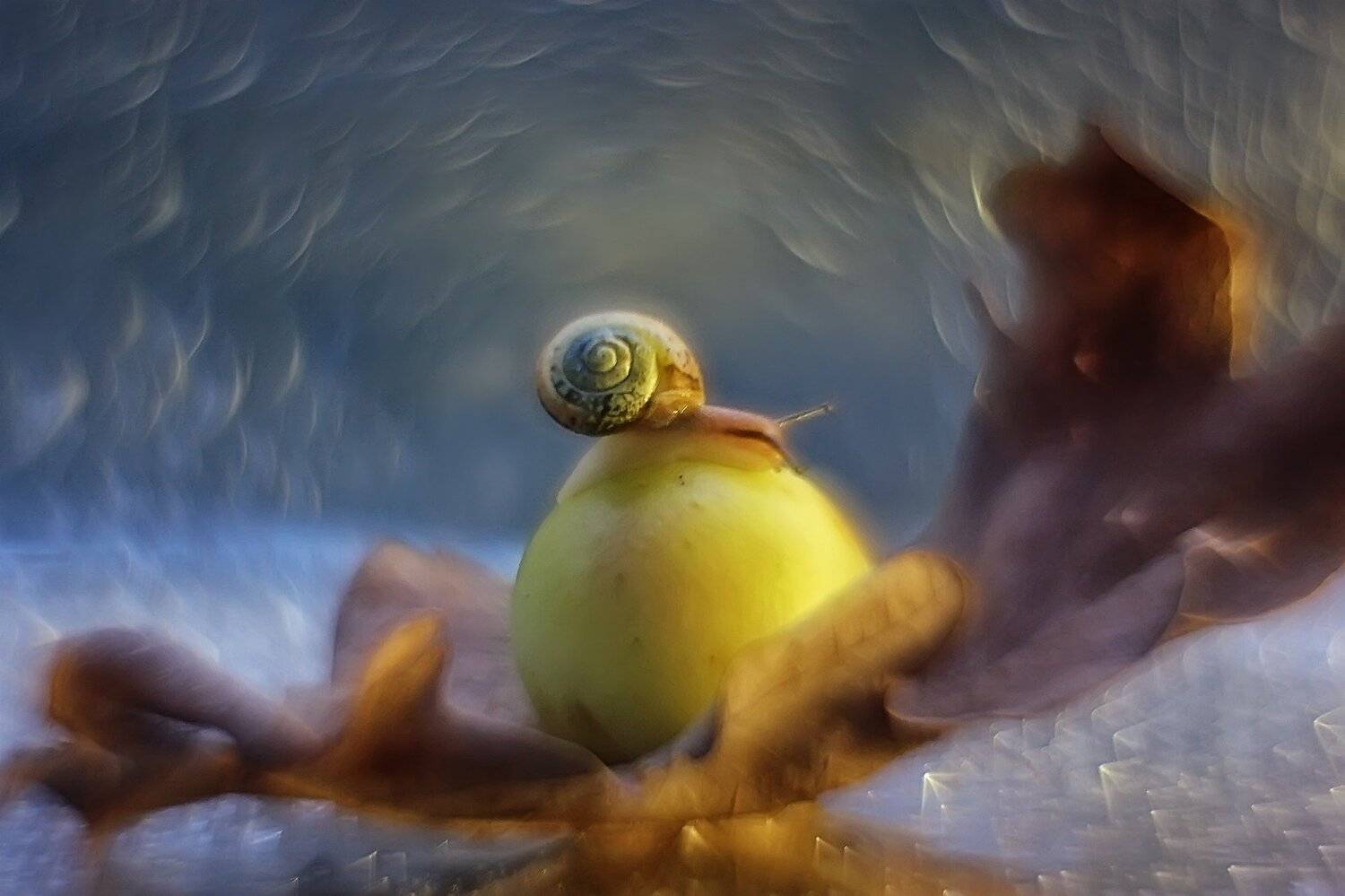 , Галина Горькавая