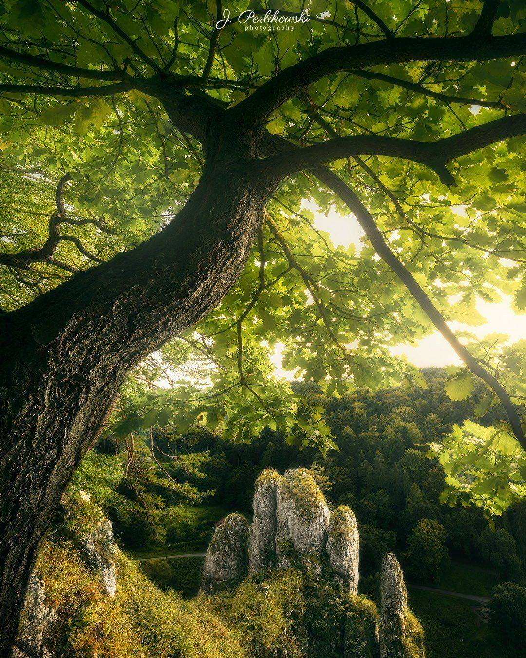 rock, rock formation, landscape, tree, forest, sunset, colours,, Jakub Perlikowski