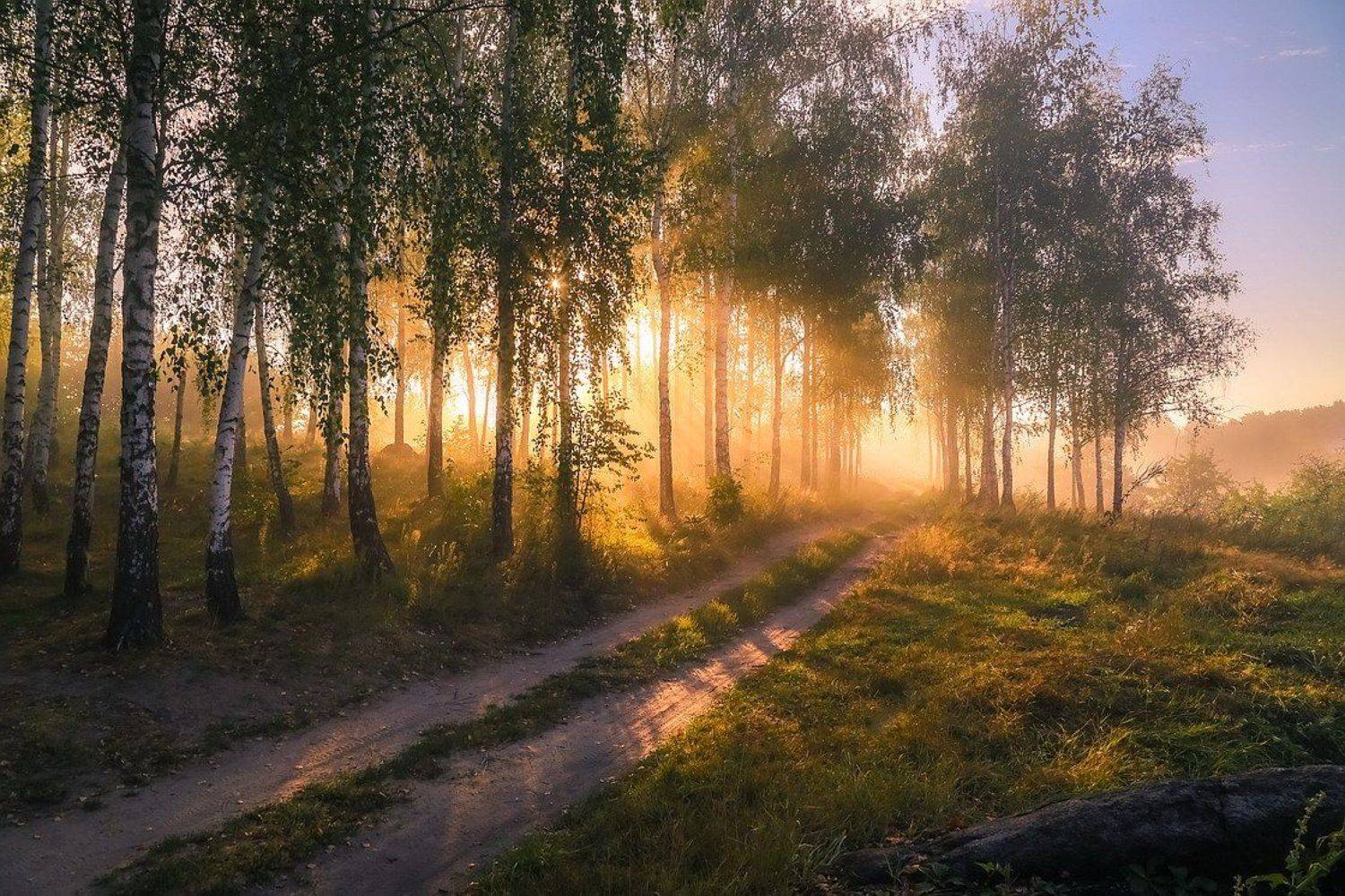 , Вячеслав Мищенко