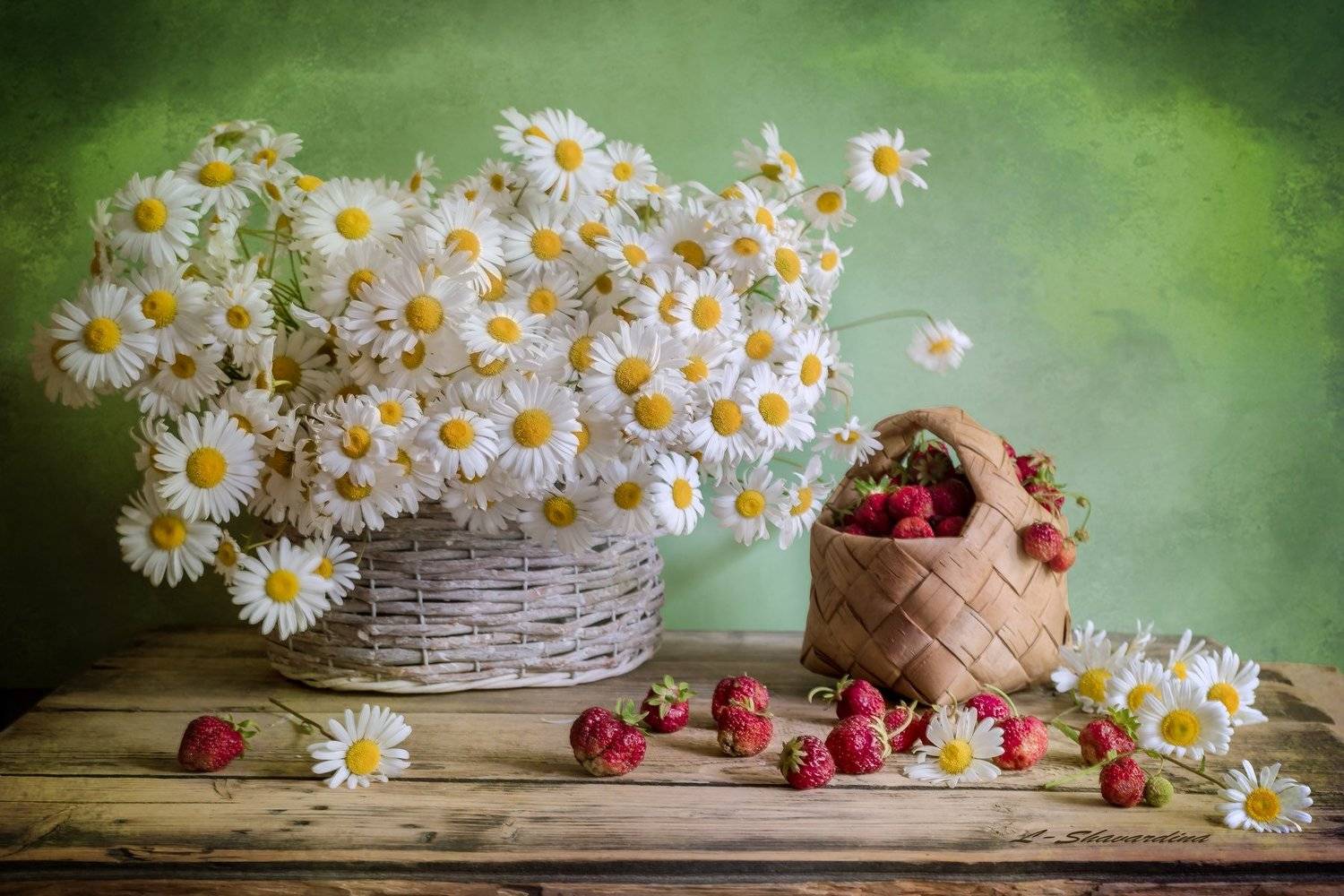 , Елизавета Шавардина