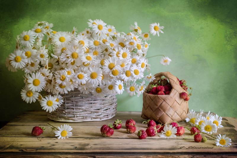 Ромашки с клубникой фото превью