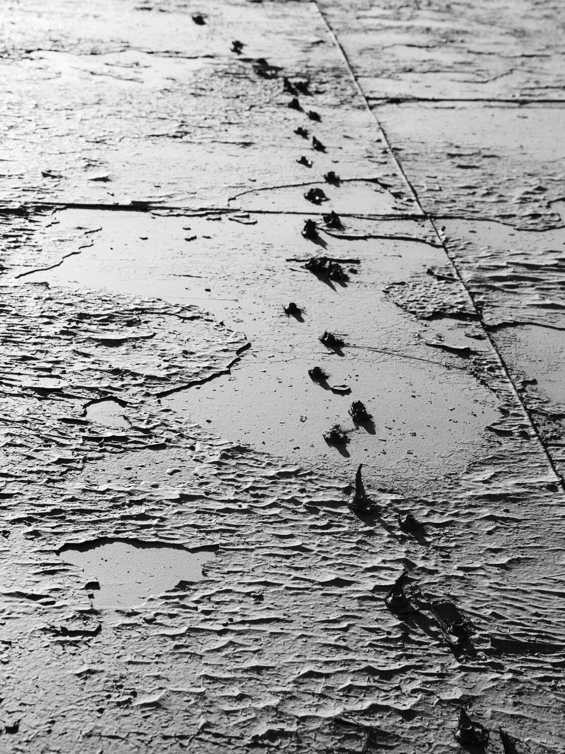 следы, невиданных зверей, карта, облупленная, старая краска, очищенная поверхность, Дмитрий Ткаченко