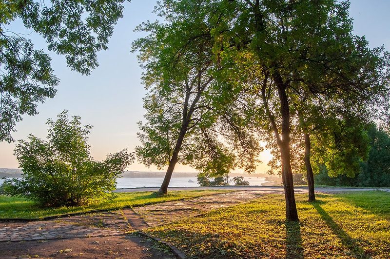 утро, рассвет, солнце, лето *** фото превью