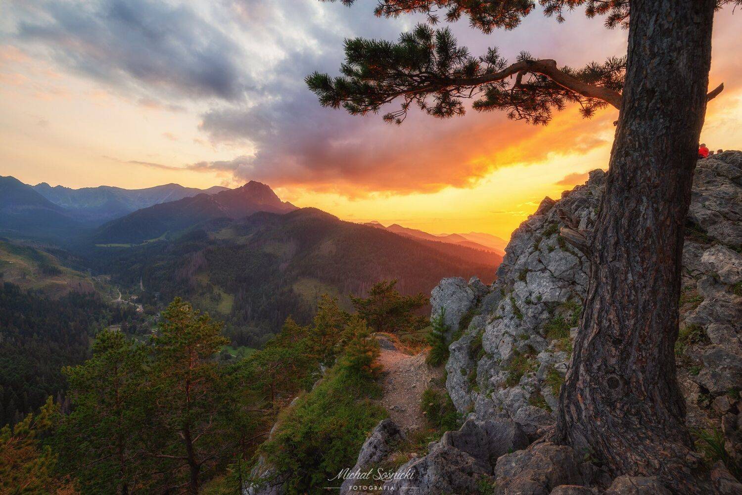 #tree #trees #sunset #wood #color #tatras #mountains #poland #ricoh #benro #pentax, Michał Sośnicki