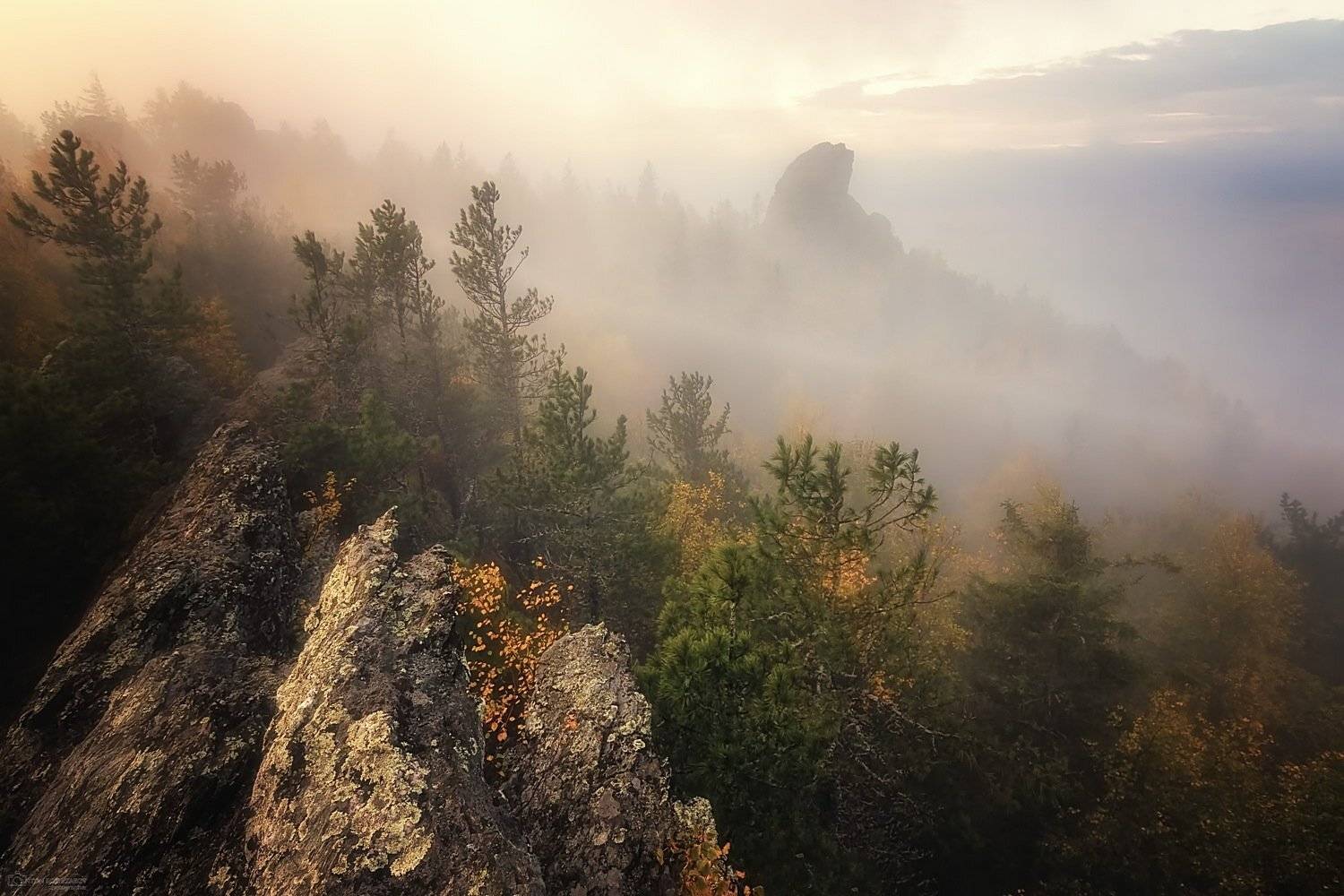 , Антон Кошетаров